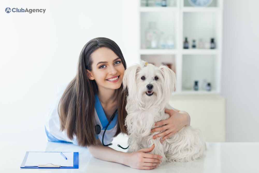 tips for choosing right pet insurance