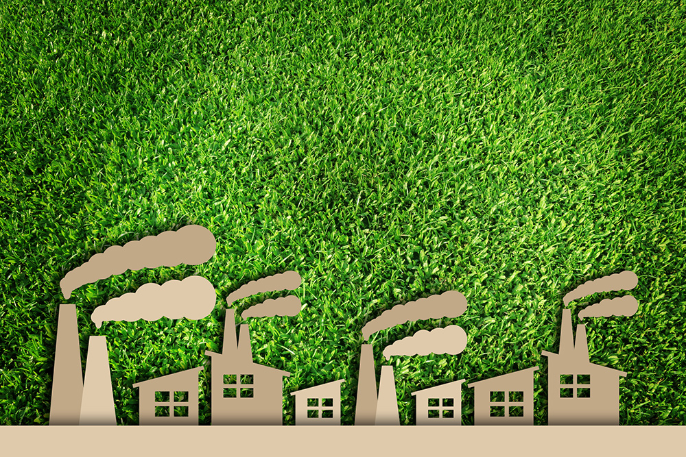 Check Out These Environmentally Sustainable Business Practices