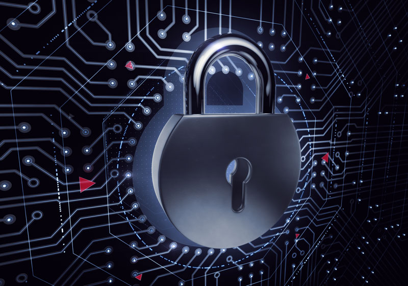 Protect Your Business from a Data Breach with These Cyber Security Tips