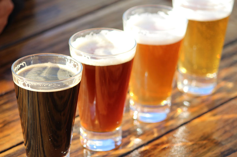 Learn Why You Need Insurance for Your Brewery