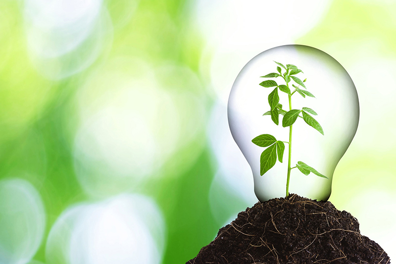 Easy Ways to Help Your Business Go Green