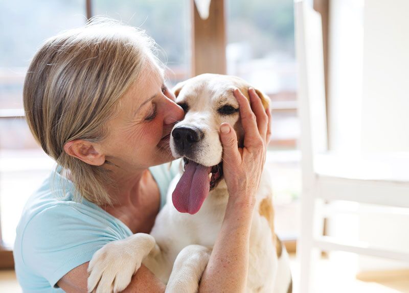 How Pets Can Help You Live Longer