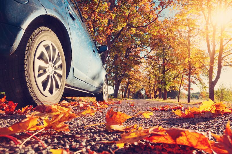 Thanksgiving Driving Tips