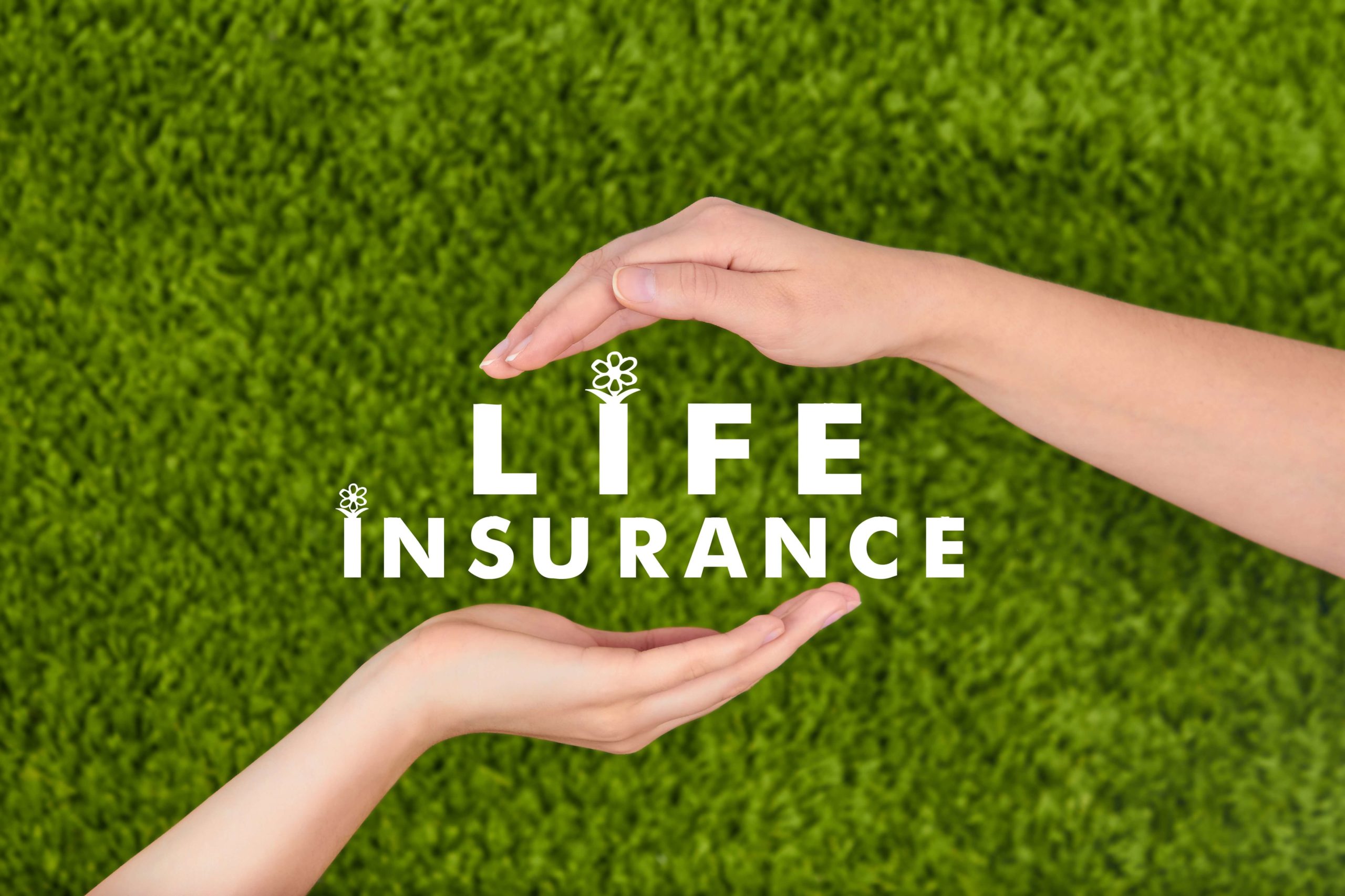 Reasons Why It Might Be a Good Time to Invest in Life Insurance