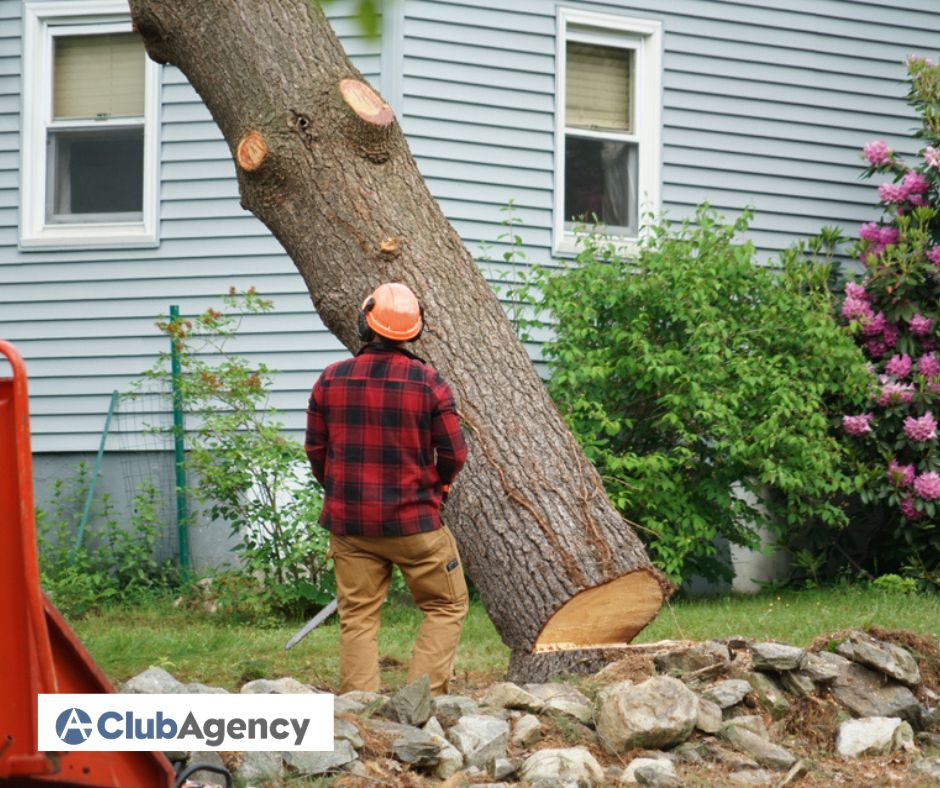 How Tree Removal Service Impacts Home Insurance