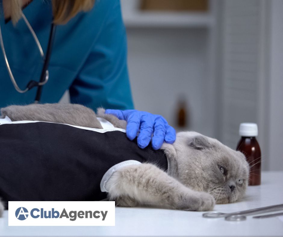 Is Neutering Covered by Pet Insurance?